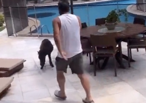 Leonardo gera polêmica ao ser filmado chutando pônei de Maria Alice 