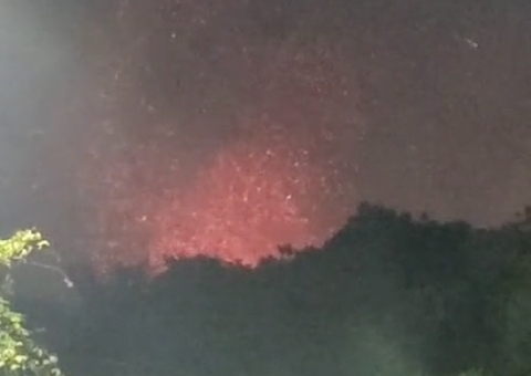 Incêndio de grandes proporções atinge área de mata em Manaus; vídeo