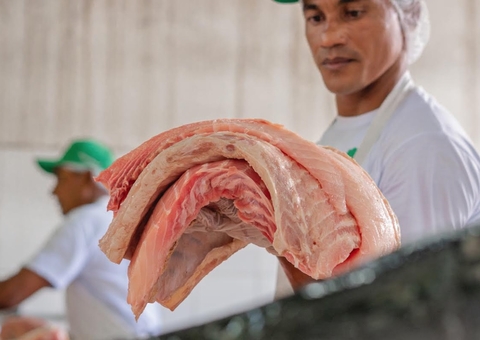 FAS realiza nova edição da Feira do Pirarucu neste fim de semana em Manaus; confira os preços