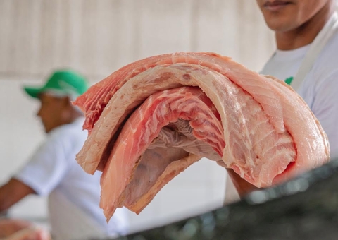 Feira do Pirarucu terá edição especial no feriado desta quinta em Manaus