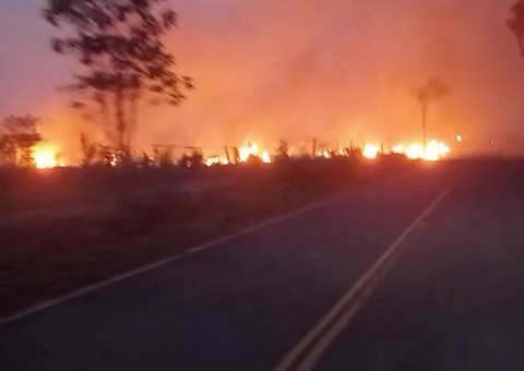 Autazes lidera queimadas no Amazonas com 105 focos nesta quarta; vídeo