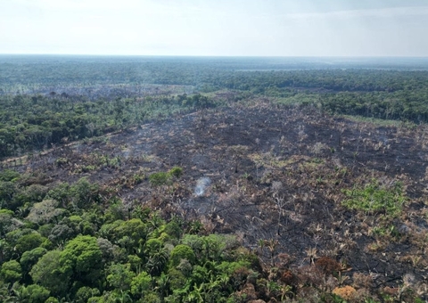 Operação contra queimadas gera mais de R$ 76 milhões em multas no sul do Amazonas