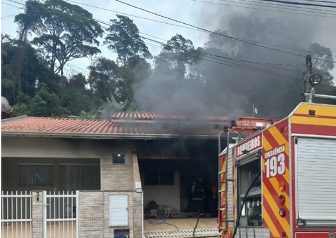Homem invade casa de ex-namorada e mata 6 gatos após término 