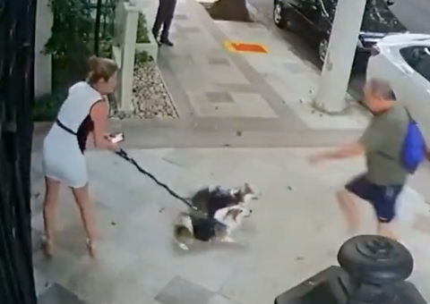 Suspeito de atacar irmã do ministro do STF Cristiano Zanin é identificado 