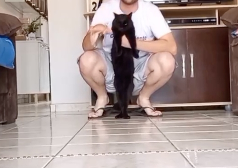 'Milu': gato conhecido por acertar apostas prevê números da Mega da Virada