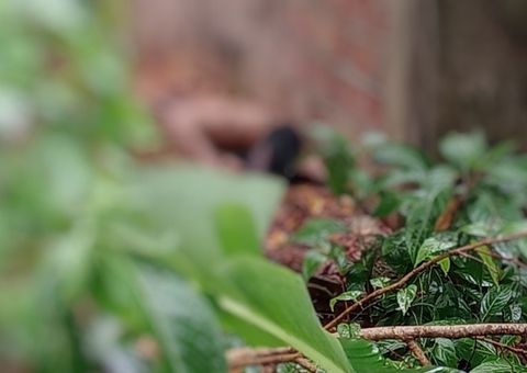 Corpo decapitado é encontrado em matagal na Compensa