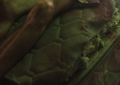 Homem é morto com facada no peito dentro de casa em Tefé