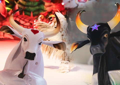 Festival de Parintins Para o Brasil Ver