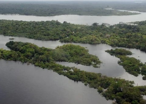 Programa oferece R$ 500 mil a municípios para combate ao desmatamento e incêndios florestais
