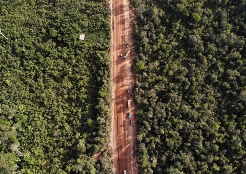 Deputados federais vão debater impactos econômicos das obras da BR-319