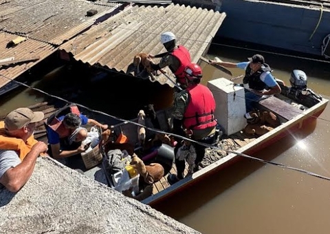 Comissão da Aleam resgata mais de 400 animais no desastre ambiental do RS 