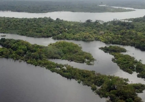 "Narcotráfico é o grande investidor de crimes ambientais na Amazônia", afirma diretor da PF na Aleam 