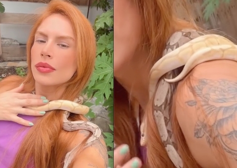 Cobras de Djidja seriam estranguladas em rituais de seita; outros animais são resgatados