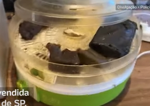 'Maconha dos playboys' invade festas privadas e áreas nobres com cigarros a R$ 500 