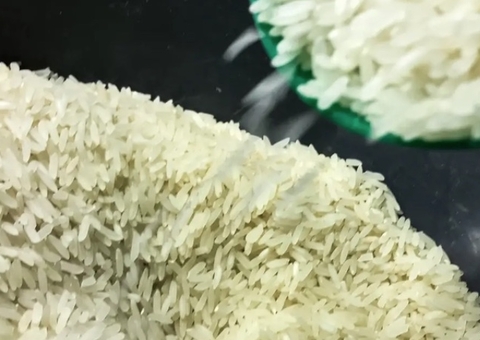 Governo quer fazer novo leilão de arroz em dez dias, diz ministro