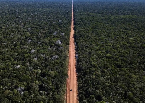 Projeto fragiliza licenciamento ambiental da BR-319 e acelera obras