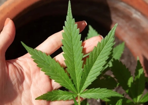 STF retoma na quinta julgamento sobre descriminalização do porte de drogas