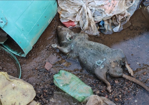 Rio Grande do Sul confirma 20ª morte por leptospirose após enchentes