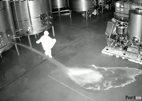 Mulher derrama 60 mil litros de vinho de adega para vingar demissão; prejuízo é de R$ 13 milhões