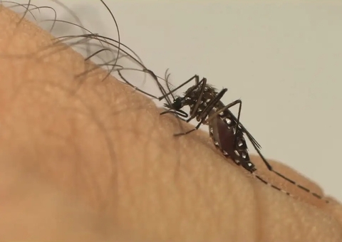 Projeto de lei prevê indenização a vítima de Zika e Senado pede estimativa de custos