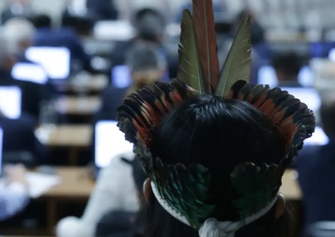 Após pressão do Governo e STF, Senado adia debate sobre terras indígenas 