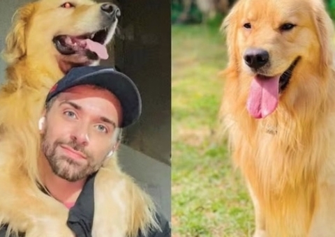 Governo lança comissão para criar normas de transporte aéreo de pets após morte do cão Joca 