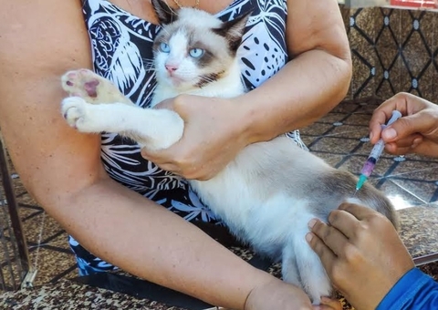 Vacinação contra raiva é antecipada no Amazonas