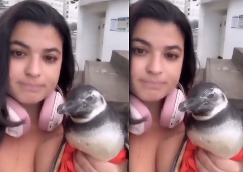 Vídeo: Pedestre resgata pinguim na praia de Copacabana e viraliza: 'Só acontece comigo' 