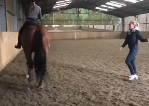 Campeã olímpica é flagrada maltratando cavalo; veja vídeo
