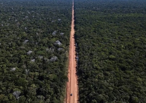 Justiça do Amazonas suspende licença para asfaltamento da BR-319