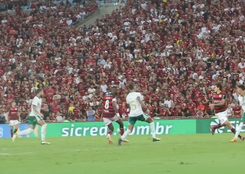 Flamengo domina o Palmeiras e vence por 2 a 0 no Maracanã