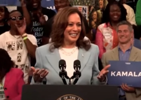 Kamala Harris é oficializada como candidata à Presidência dos EUA 