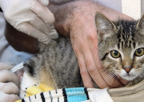 Processo seletivo contrata 300 vacinadores em Manaus