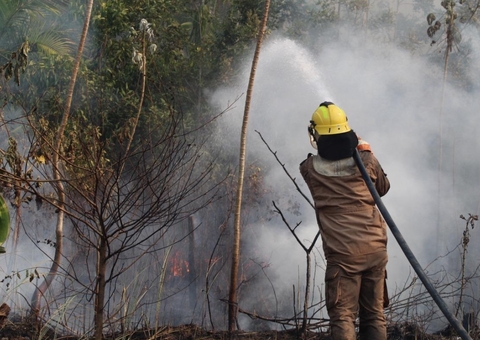 Operação combate mais de 4 mil focos de incêndios no Amazonas 