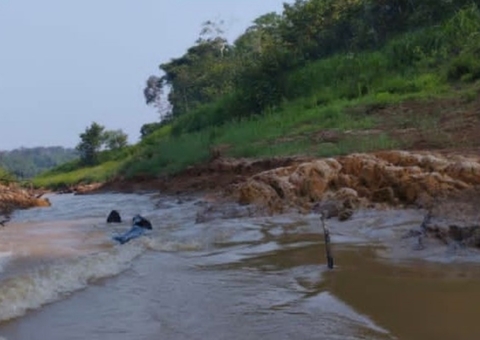 Acidentes com arraias têm aumento durante seca no Amazonas; há 833 casos