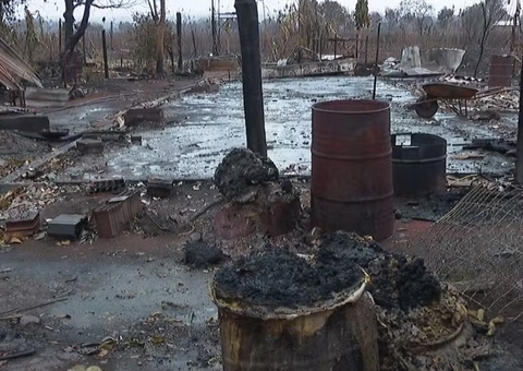 Incêndio mata 217 animais e destrói casas e lavouras em Pradópolis