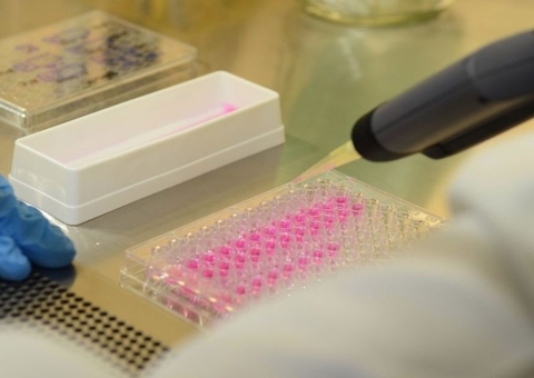 Ministério da Justiça vai usar DNA para ajudar buscas de desaparecidos