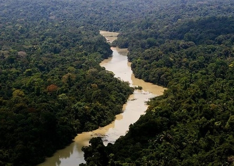 Governo poderá destinar 20% de royalties do petróleo para proteção da Amazônia; entenda PL