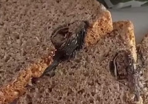 Mulher encontra rato dentro de pão após já ter consumido metade do produto