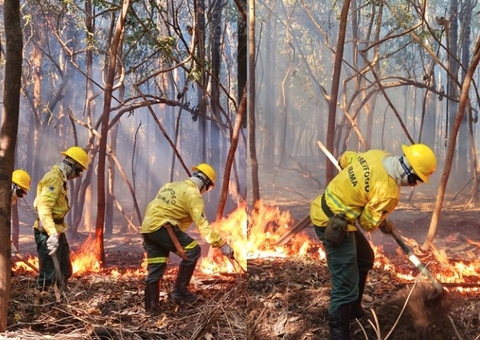 MPAM multa em R$ 1,3 milhão proprietária de fazenda por área desmatada