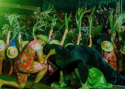 MP investiga venda irregular de camarotes no Eco Festival do Peixe-Boi em Novo Airão