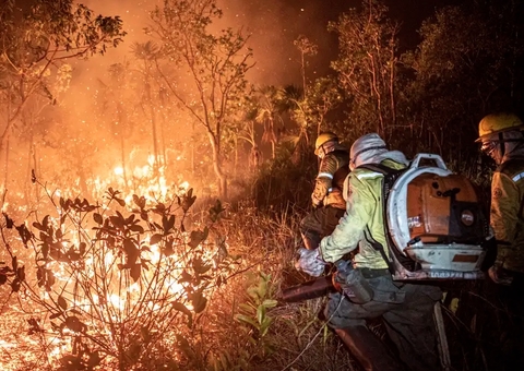Governo estuda medida provisória para barrar grilagem de terras atingidas por fogo