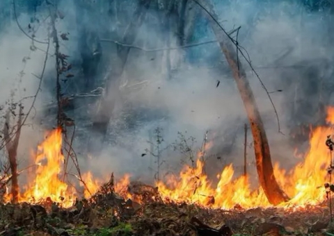 Justiça Federal condena réus por mudanças climáticas na Amazônia e manda indenizar