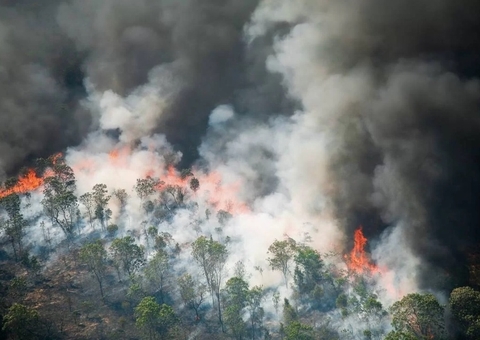 MP do Amazonas fiscaliza ações de combate às queimadas em Urucará 
