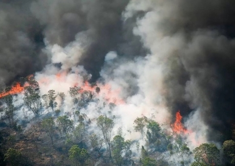 Brasil bate recorde de emissão de carbono, aponta monitoramento