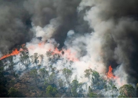 AGU cobra R$ 89 milhões de acusados de causar queimadas na Amazônia