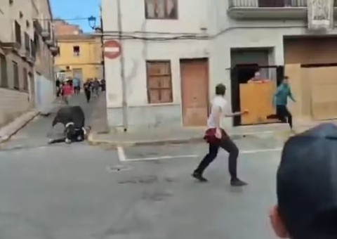Vídeo: Homem morre após ser chifrado por touro durante tradicional corrida com animais