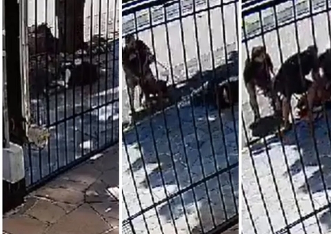Vídeo: mulher é atacada e arrastada por pitbull na porta de casa  