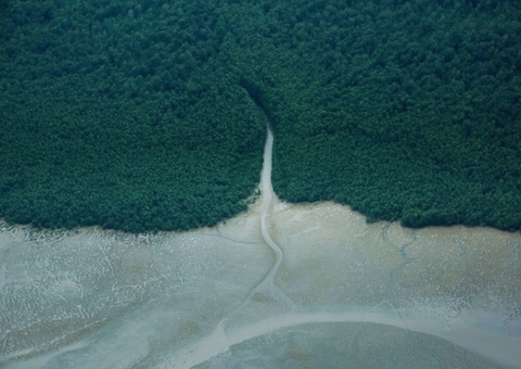 Petrobras vai responder dúvidas do Ibama sobre Foz do Amazonas até o fim do mês