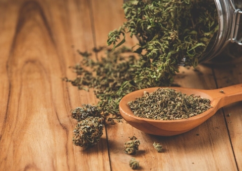 STJ começa a julgar importação e cultivo de cannabis para fins medicinais